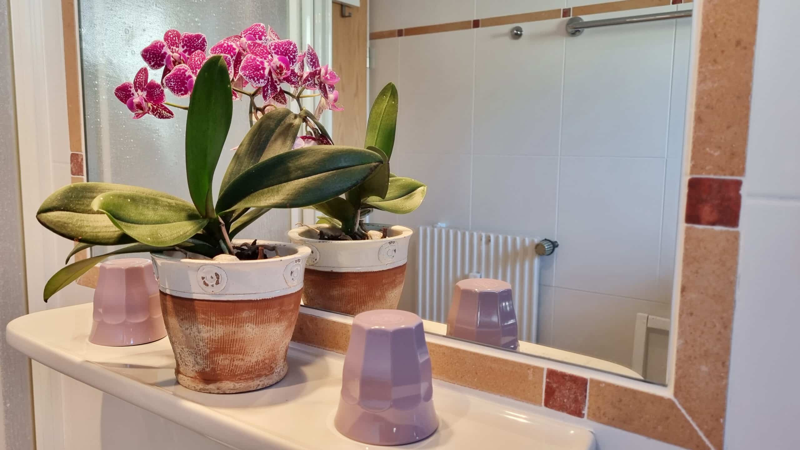 Badezimmerspiegel mit Orchidee - Ferienwohung Anne Mittenwald